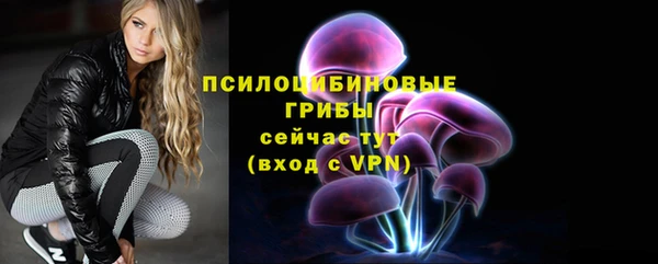 spice Белокуриха