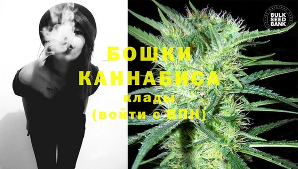 spice Белокуриха