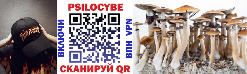 Галлюциногенные грибы ЛСД  мориарти официальный сайт  Шелехов 